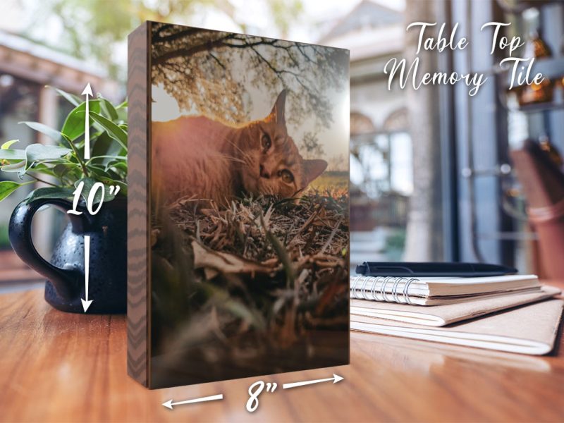 8x10 table top photo panel with wood frame